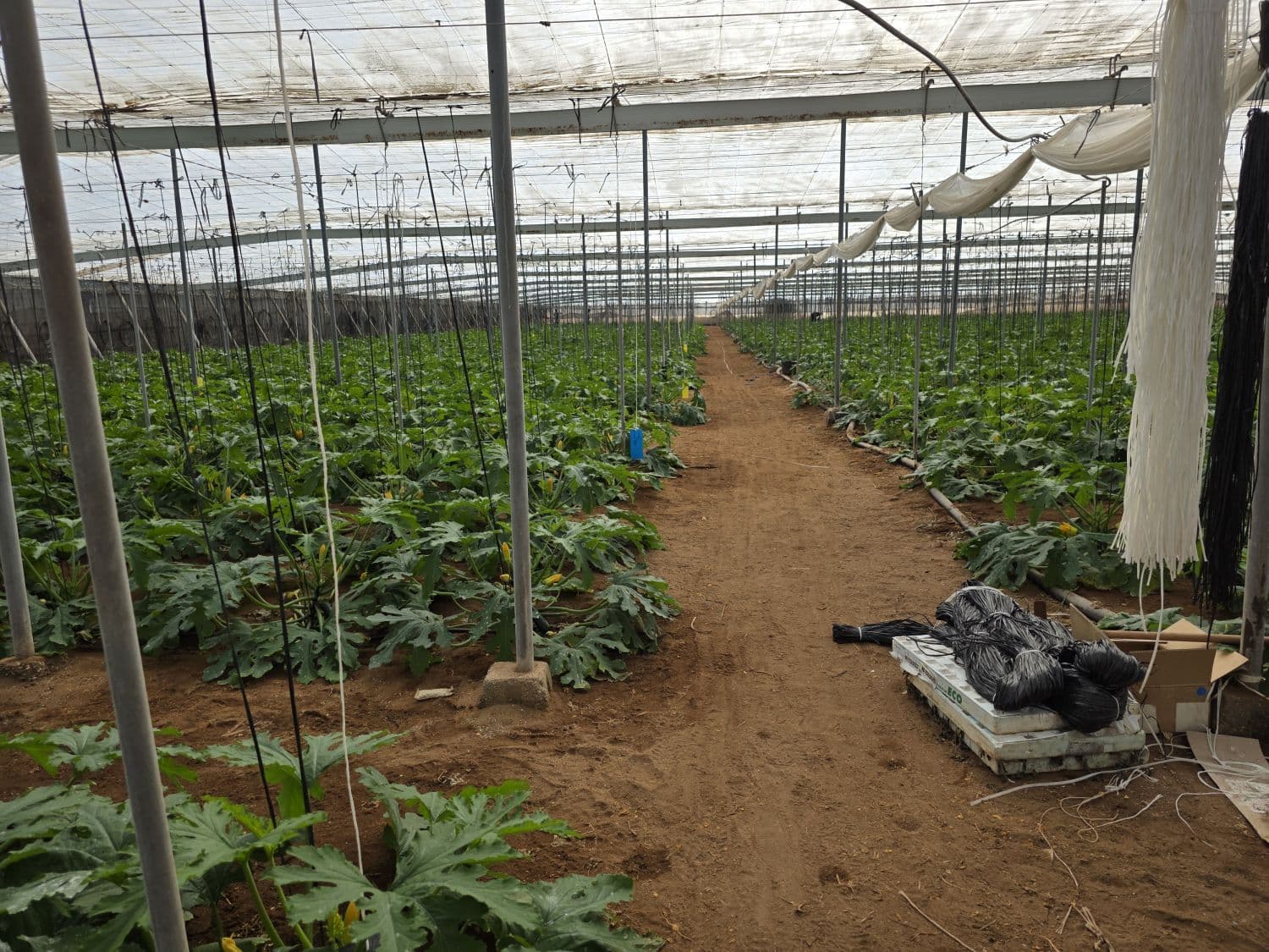 Venta Finca Rústica en Cabo de Gata, Níjar 5